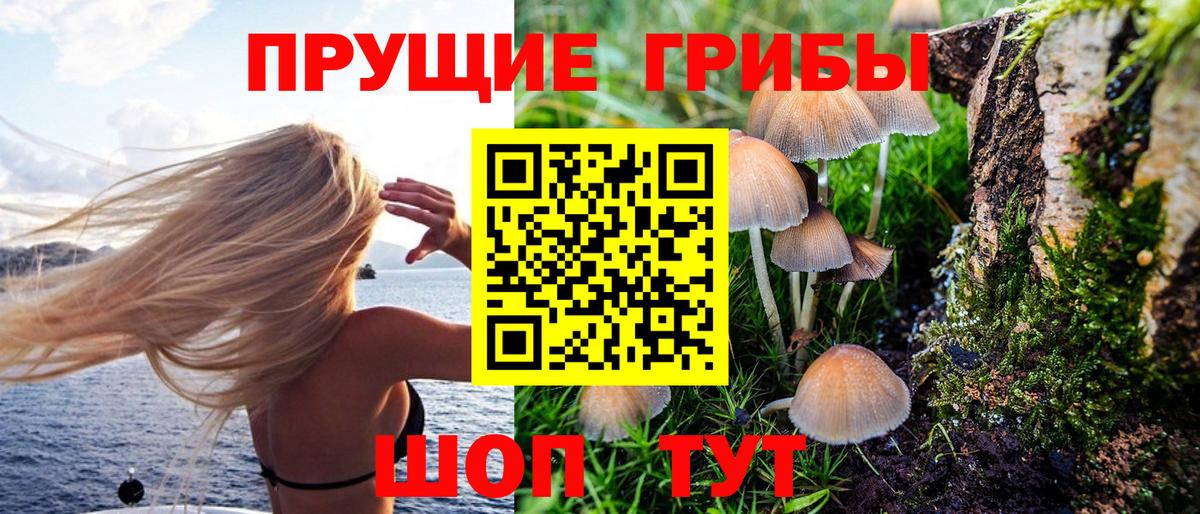 Псилоцибиновые грибы Magic Shrooms Алейск