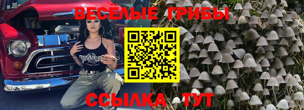 Галлюциногенные грибы мицелий  Вход с VPN  Алейск 